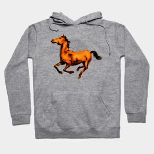 Running Horse Hoodie